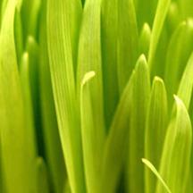 网页攻击器教程